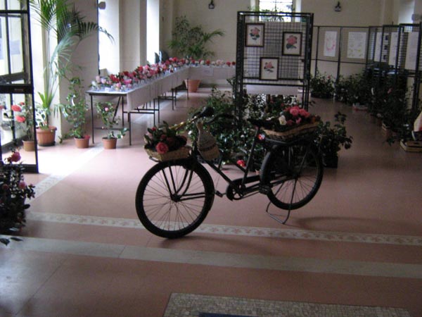 Angera mostra 2007